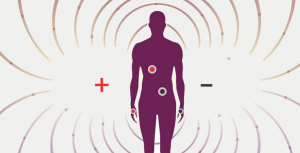 biomagnetic pair body surrounded by magnetic fields