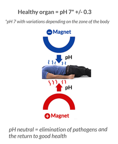 Magnets effecting pH and Body