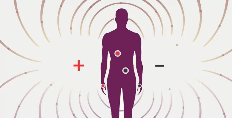 image of human body surrounded by magnetic polarities