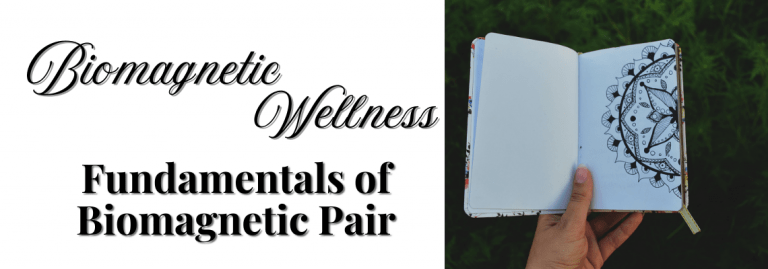 fundamentals of biomagnetic pair therapy image of a book