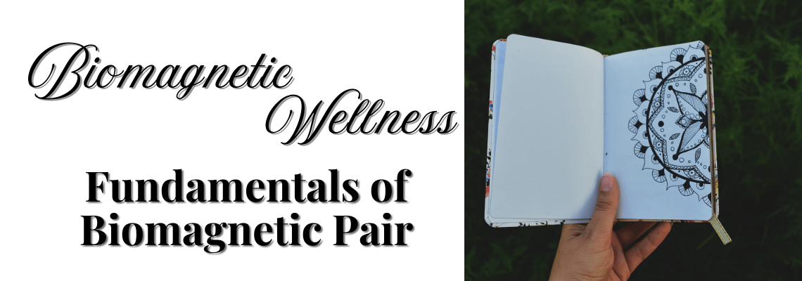 fundamentals of biomagnetic pair therapy image of a book