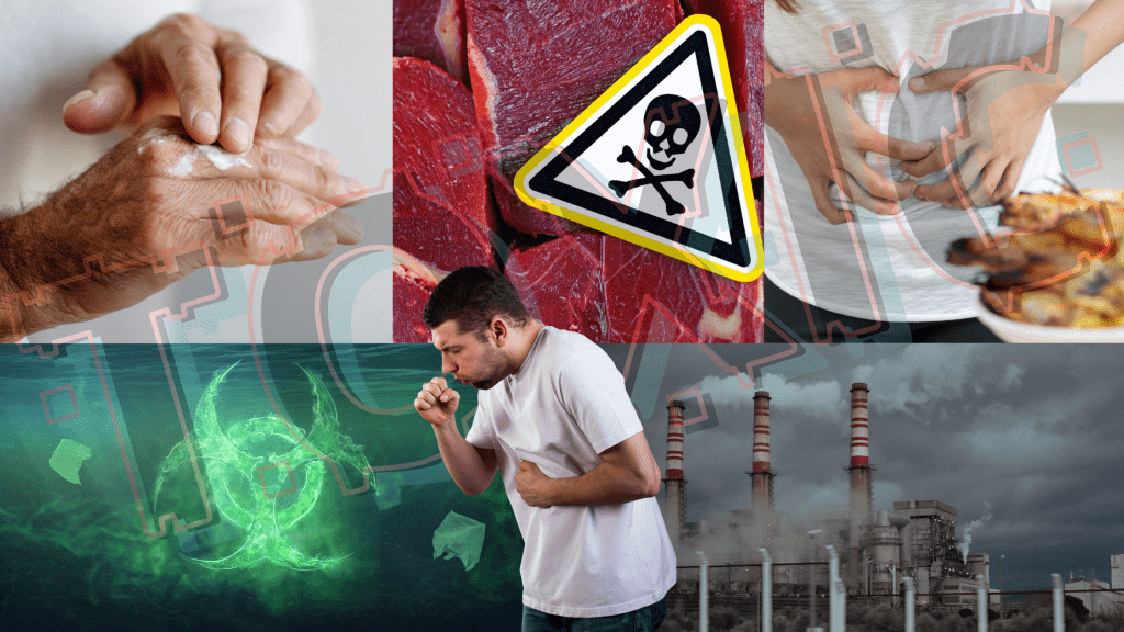 biomagnetic detox safely removes toxins