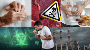 biomagnetic detox safely removes toxins