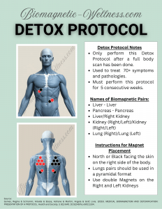 biomagnetic detox protocol image