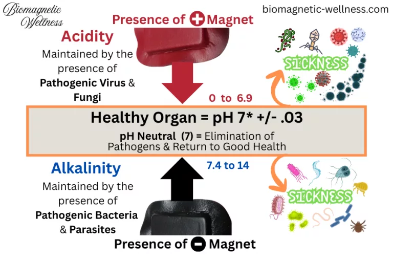 magnet effect on pH